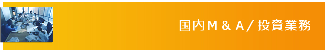 国内M&A/投資業務 国内M&A/投資業務